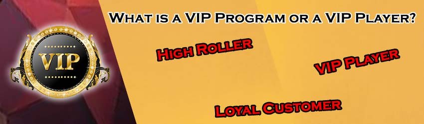 What is a VIP Program or a VIP Player?